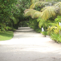 фото из отзыва ID 2713484