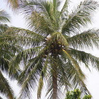 фото из отзыва ID 2713484