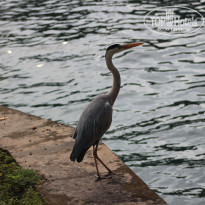 фото из отзыва ID 2713484