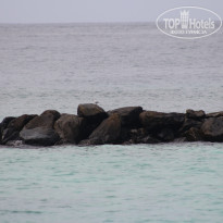 фото из отзыва ID 2713484