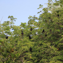 фото из отзыва ID 2713484