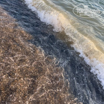 фото из отзыва ID 2713916