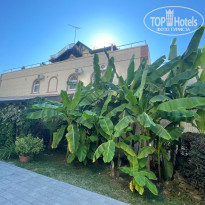 фото из отзыва ID 2713916