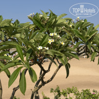 фото из отзыва ID 2713958