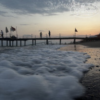 фото из отзыва ID 2713959