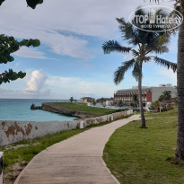 фото из отзыва ID 2713817