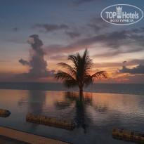 фото из отзыва ID 2713817