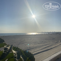 фото из отзыва ID 2713978