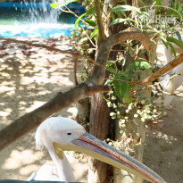 фото из отзыва ID 2713982