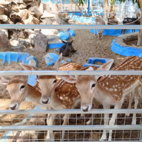 фото из отзыва ID 2713982