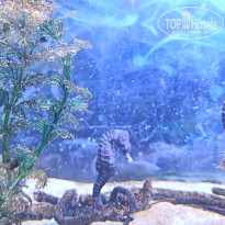 фото из отзыва ID 2713982