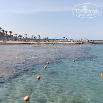 фото из отзыва ID 2713982