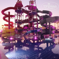 фото из отзыва ID 2713982