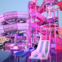 фото из отзыва ID 2713982