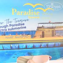 фото из отзыва ID 2713982