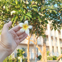 фото из отзыва ID 2713982