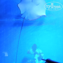 фото из отзыва ID 2713982