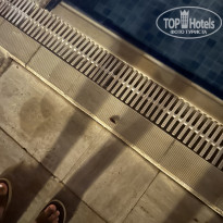 фото из отзыва ID 2713985