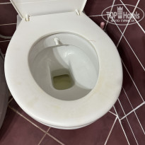 фото из отзыва ID 2713985