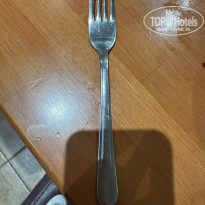 фото из отзыва ID 2713985