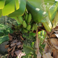 фото из отзыва ID 2714000