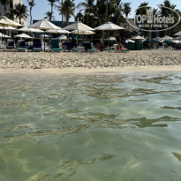 фото из отзыва ID 2714011