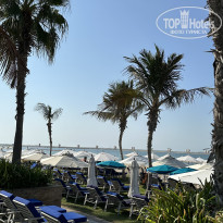 фото из отзыва ID 2714011