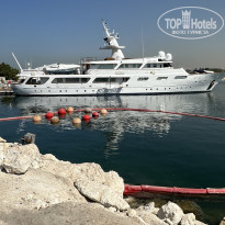 фото из отзыва ID 2714011