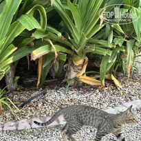 фото из отзыва ID 2714011