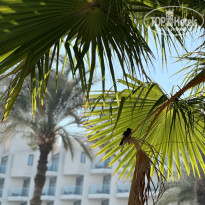 фото из отзыва ID 2714011