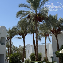 фото из отзыва ID 2714044