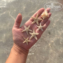 фото из отзыва ID 2714053