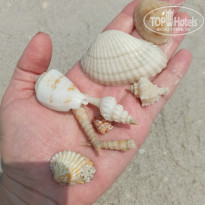 фото из отзыва ID 2714053