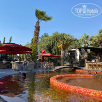 фото из отзыва ID 2714060