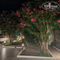 фото из отзыва ID 2714046