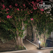 фото из отзыва ID 2714046