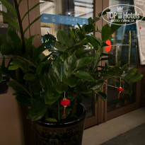 фото из отзыва ID 2714074