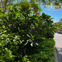 фото из отзыва ID 2714074