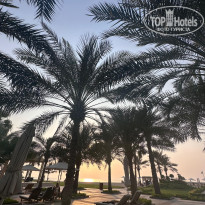 фото из отзыва ID 2714088