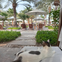 фото из отзыва ID 2714088