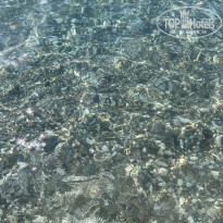 фото из отзыва ID 2714121