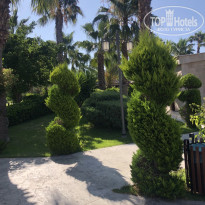 фото из отзыва ID 2714142