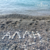 фото из отзыва ID 2714150