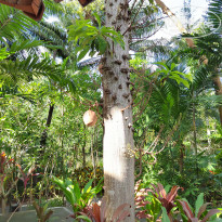 фото из отзыва ID 2714153