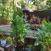 фото из отзыва ID 2714153