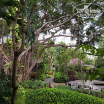 фото из отзыва ID 2714153