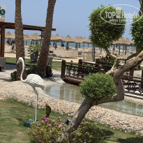 фото из отзыва ID 2714197