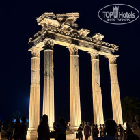 фото из отзыва ID 2714225