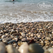 фото из отзыва ID 2714234