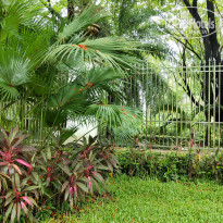 фото из отзыва ID 2714260